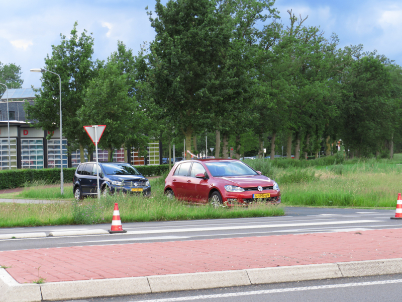 Rijontzegging en buitengebruikstellingen bij alcohol en voertuigcontrole