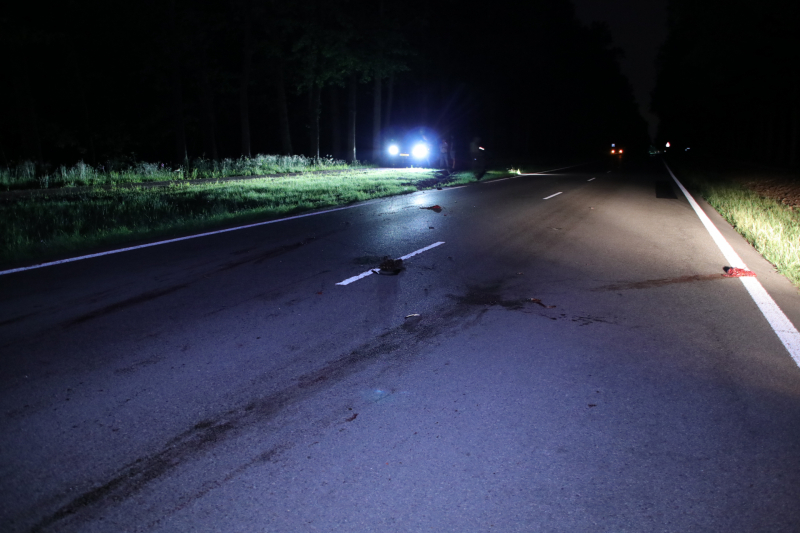 Overstekend zwijn overleden na aanrijding