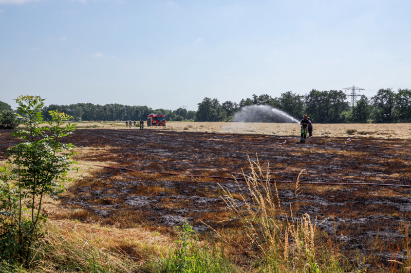 Meters grasland in brand