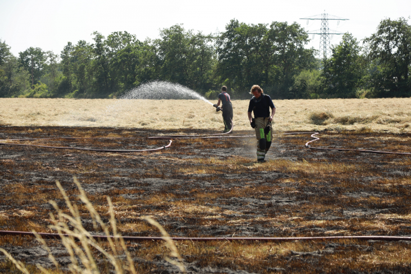 Meters grasland in brand