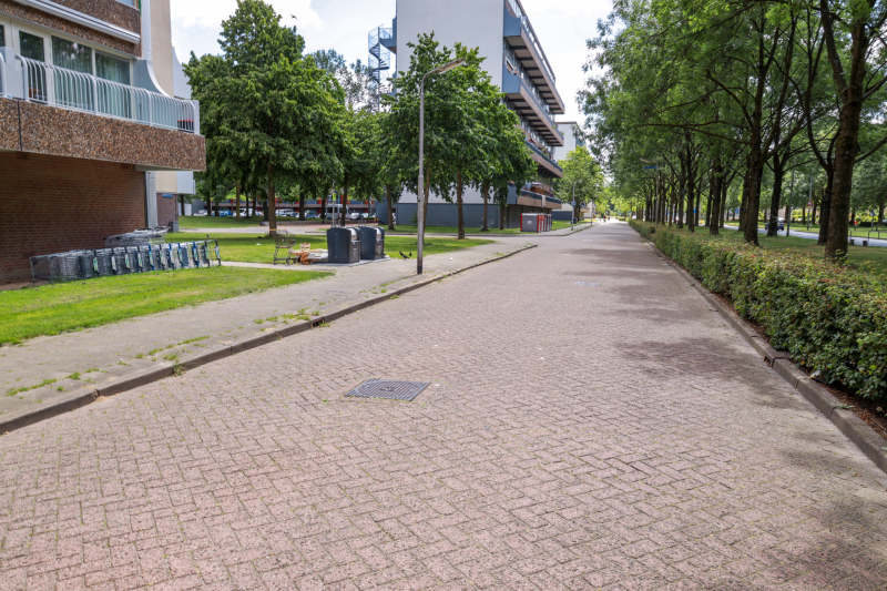 Afvaldumping loopt de spuigaten uit