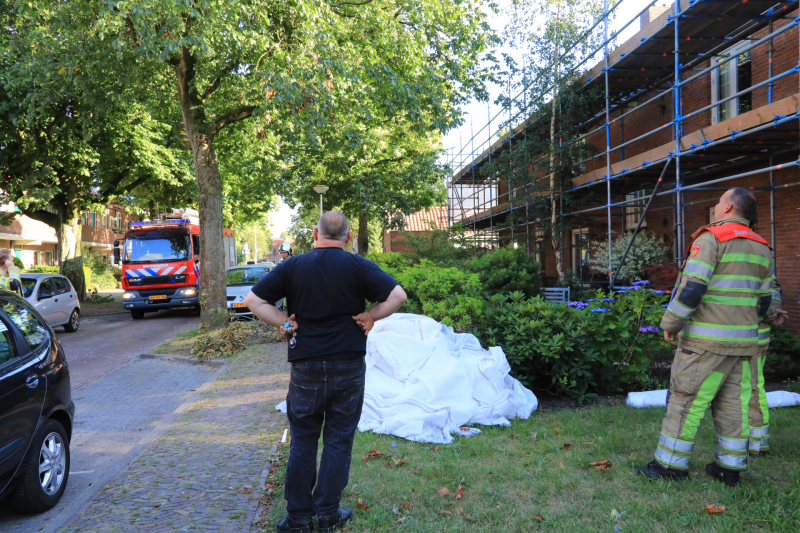 Los hangende takken verwijderd