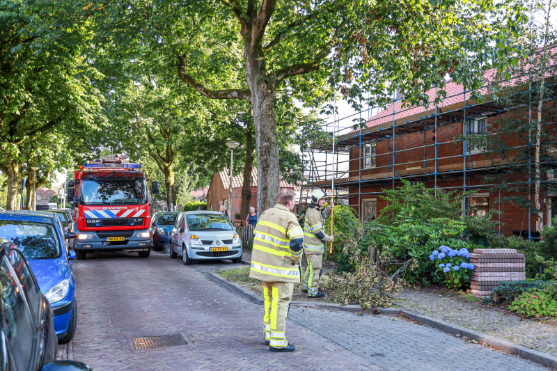 Los hangende takken verwijderd