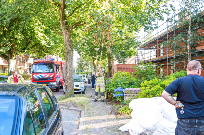 Los hangende takken verwijderd