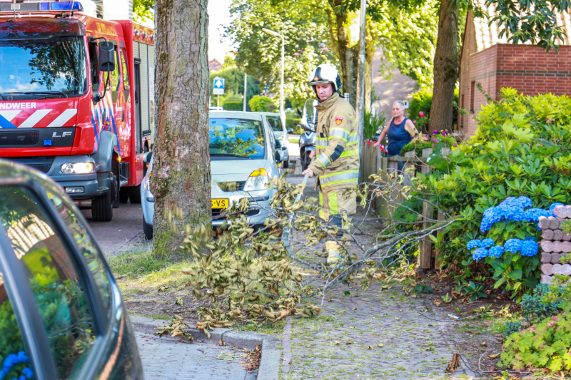 Los hangende takken verwijderd