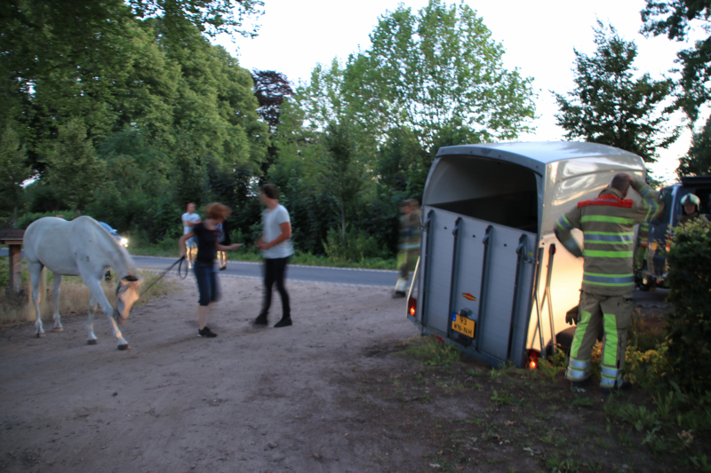 Paardentrailer met paarden belandt in de sloot