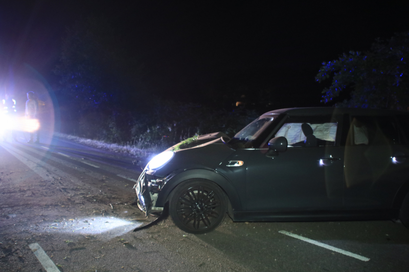 Bestuurder vlucht na crash