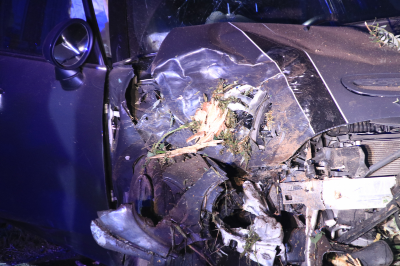 Bestuurder vlucht na crash