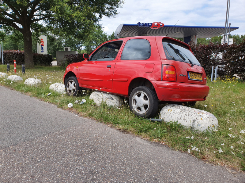 Auto belandt op varkensruggen