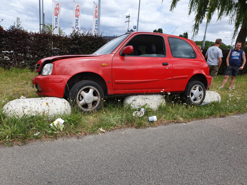 Auto belandt op varkensruggen