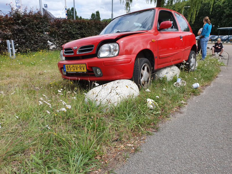 Auto belandt op varkensruggen