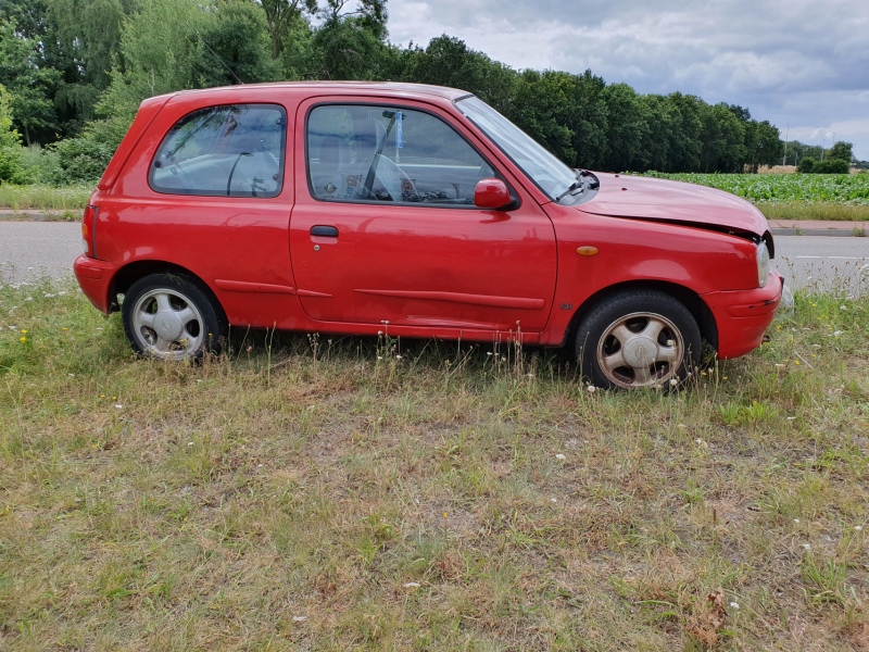 Auto belandt op varkensruggen