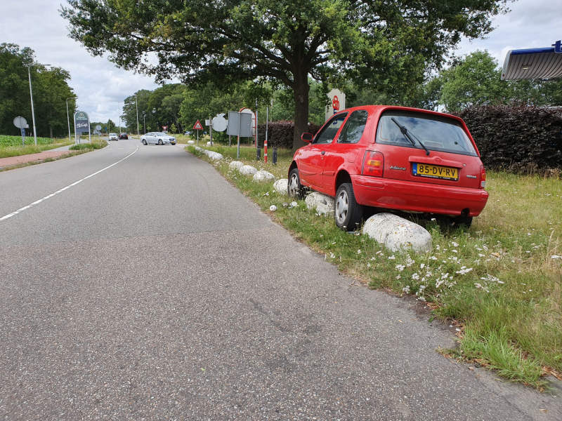 Auto belandt op varkensruggen
