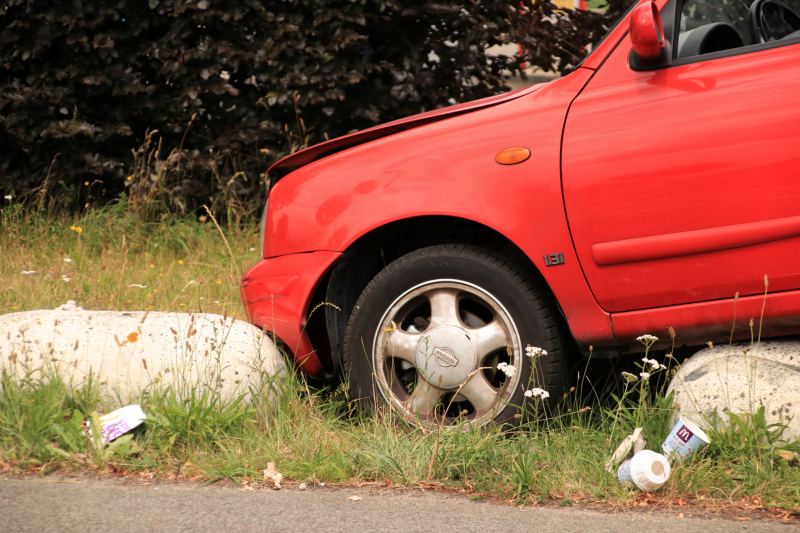 Auto belandt op varkensruggen