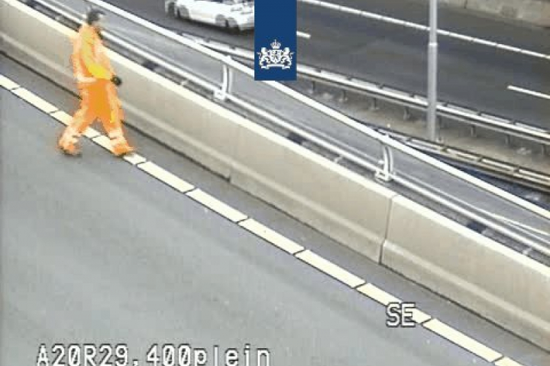 Fileleed door loslopende kat