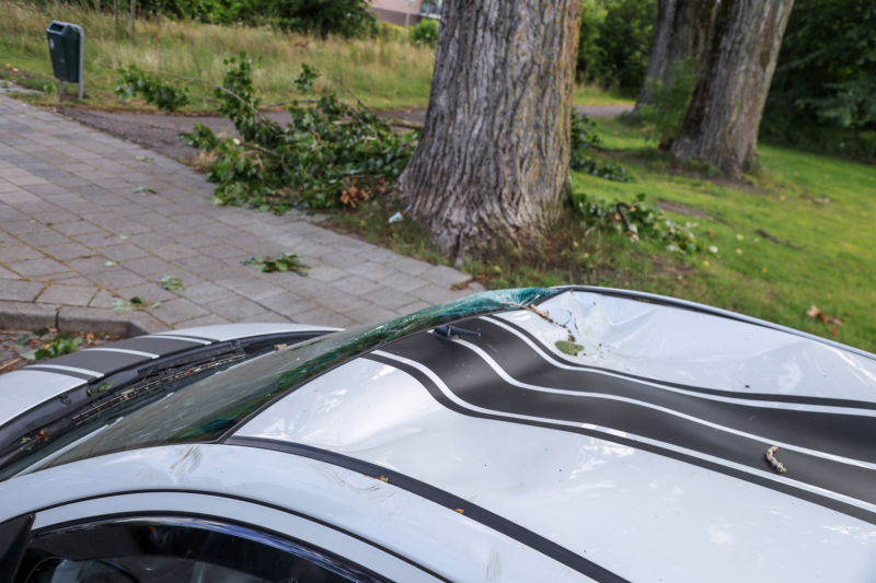 Afgebroken tak zorgt voor flinke schade