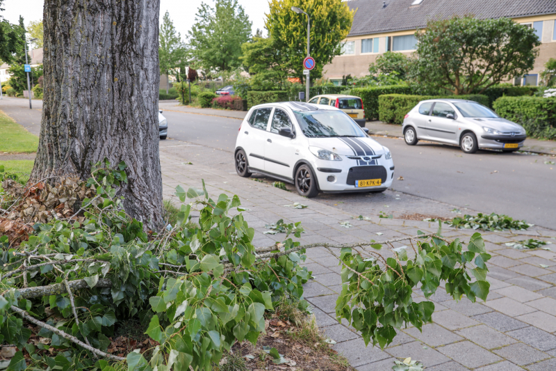 Afgebroken tak zorgt voor flinke schade