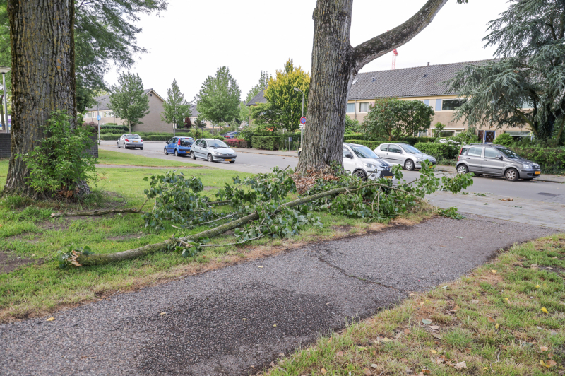 Afgebroken tak zorgt voor flinke schade
