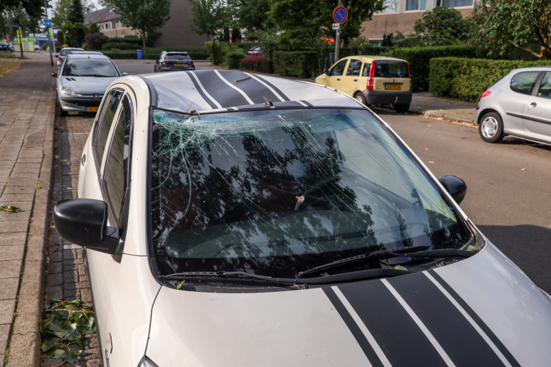 Afgebroken tak zorgt voor flinke schade