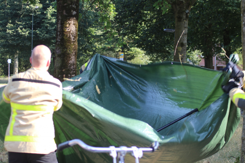 Leguaan in boom zorgt voor inzet brandweer
