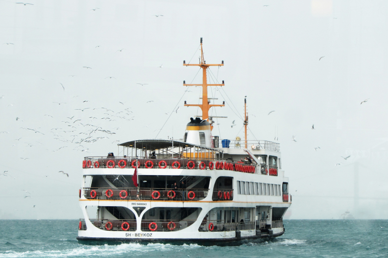 Man overleden bij werkzaamheden op ferry