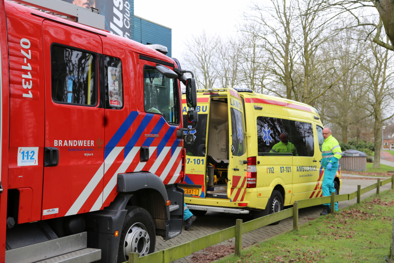 Fietser overleden door vallende boom