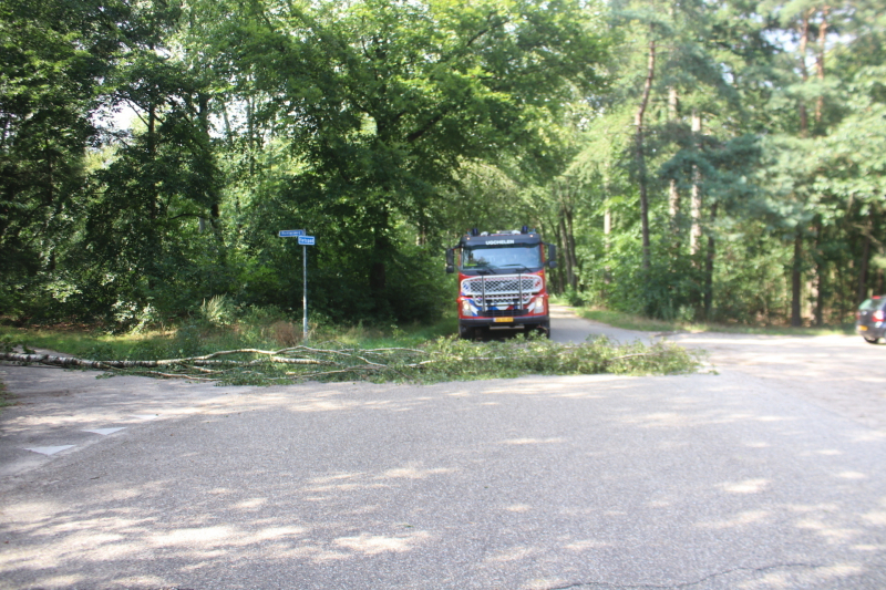 Deel boom blokkeert weg