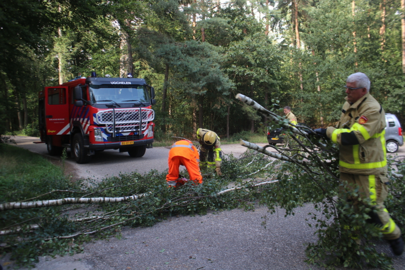 Deel boom blokkeert weg