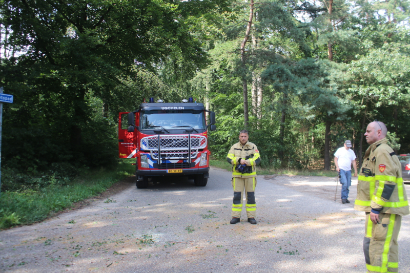 Deel boom blokkeert weg