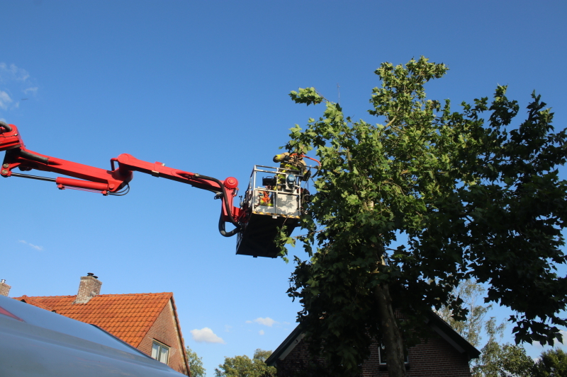 Boom deels verwijderd door stormschade