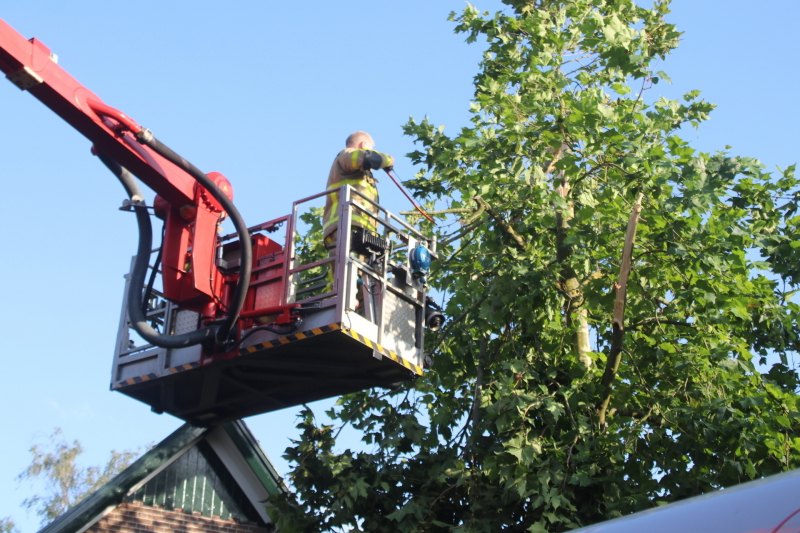Boom deels verwijderd door stormschade
