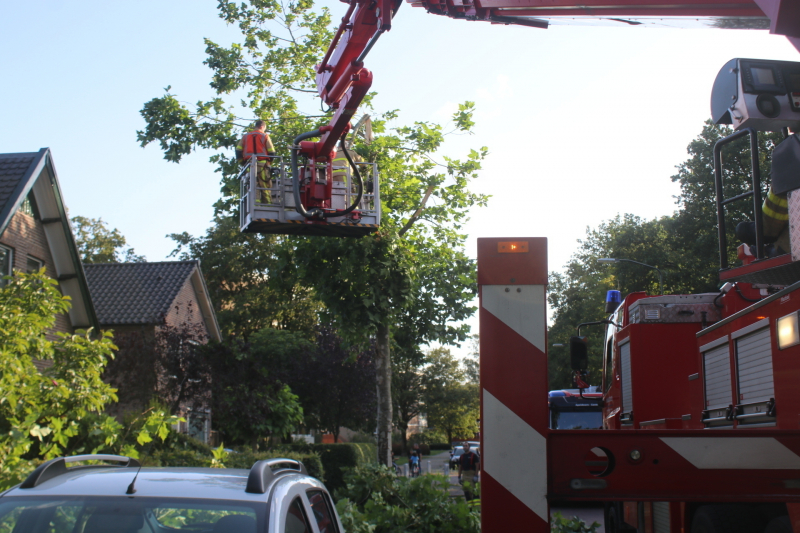 Boom deels verwijderd door stormschade