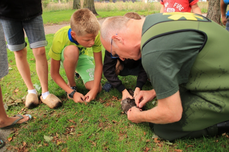 Jeugd helpt dierenambulance met redden van eend