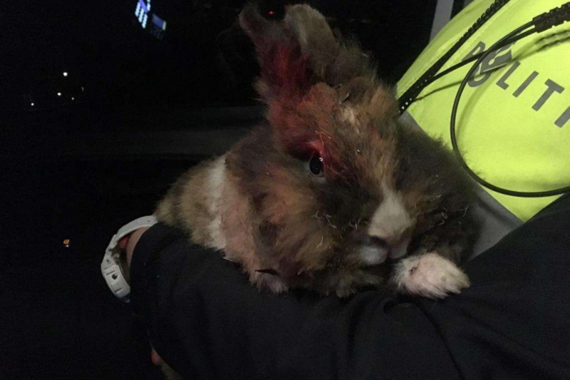 Woudhuizermark 112 melding Apeldoorn 