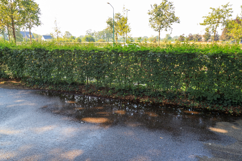 Leidingbreuk langs provinciale weg