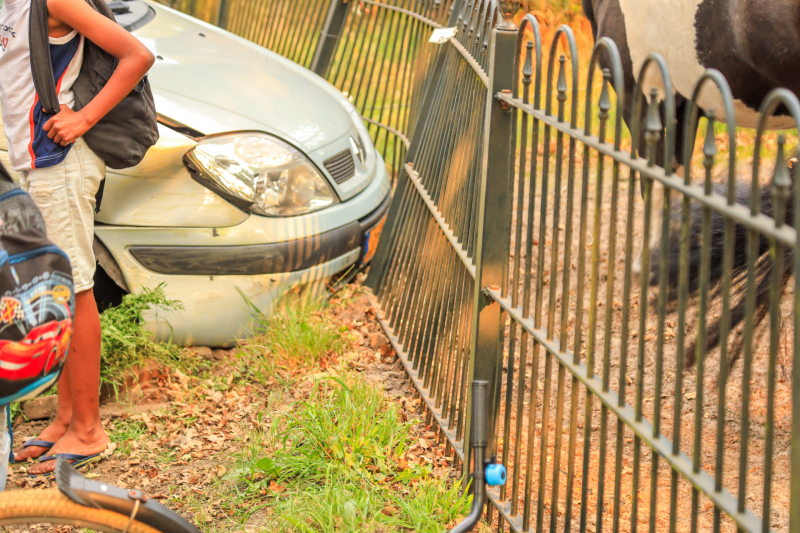 Auto rijdt tegen boom en klapt op hek