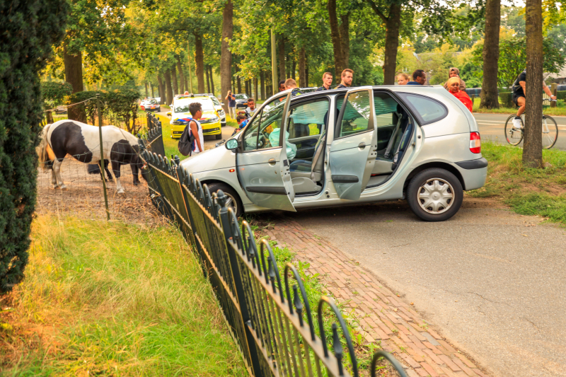 Auto rijdt tegen boom en klapt op hek