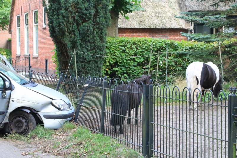 Auto rijdt tegen boom en klapt op hek