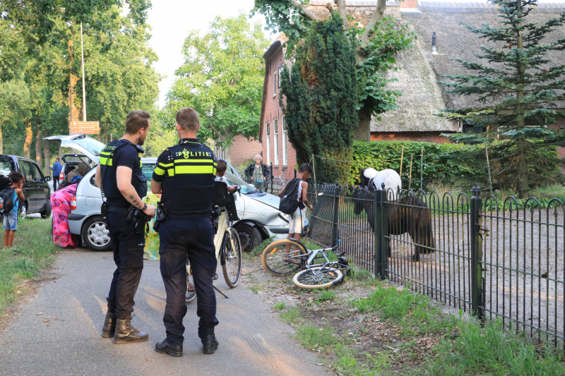 Auto rijdt tegen boom en klapt op hek