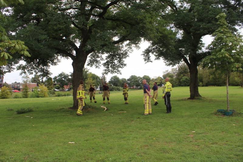 Brandweer uitgerukt voor loshangende takken