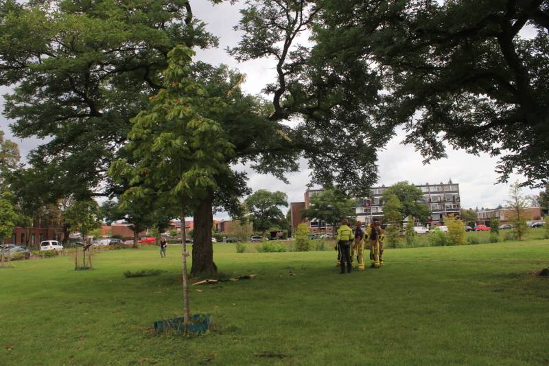 Brandweer uitgerukt voor loshangende takken