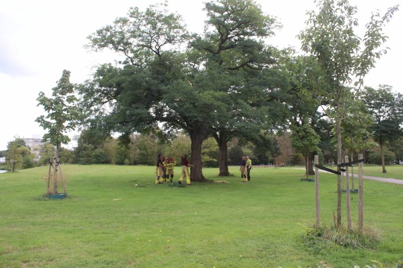 Brandweer uitgerukt voor loshangende takken