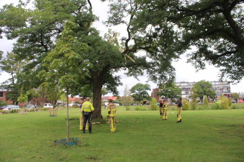 Brandweer uitgerukt voor loshangende takken