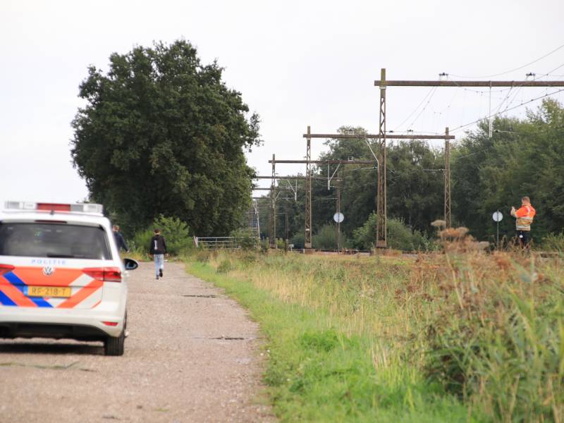 Grote kudde schapen langs het spoor