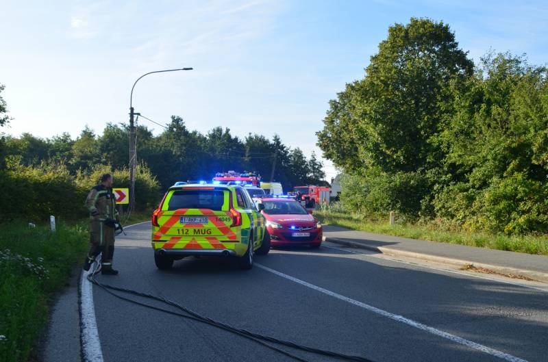 Vrachtwagen met biggen gekanteld