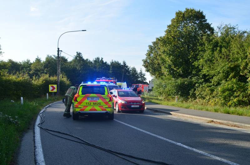 Vrachtwagen met biggen gekanteld