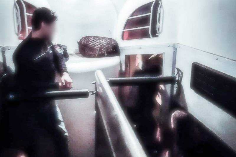 Stappende jongeren in paardentrailer naar huis