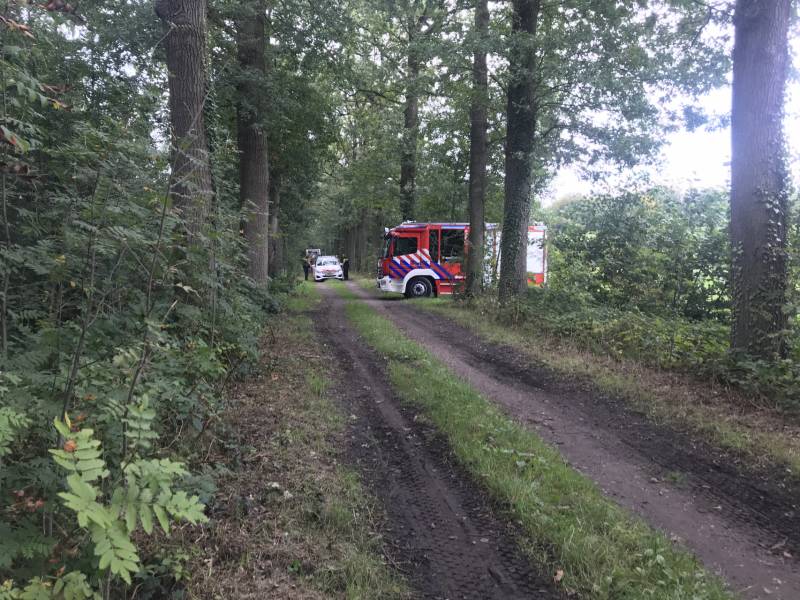 Loslopende varkens zorgen voor gevaarlijke situatie