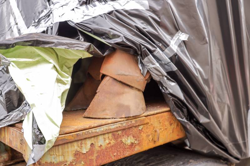 Mysterie verdwenen stier opgelost