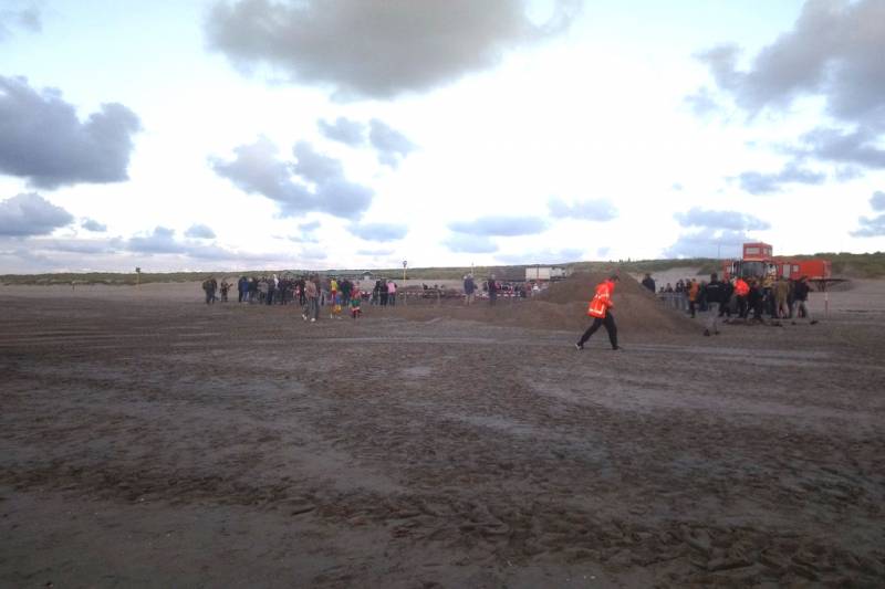 Dode vinvis aangespoeld op strand